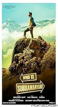 Yevade Subramanyam (2015) Hindi Dubbed Movie
